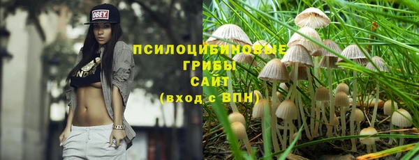 ешки Абаза