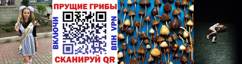 Псилоцибиновые грибы мухоморы  Энгельс 