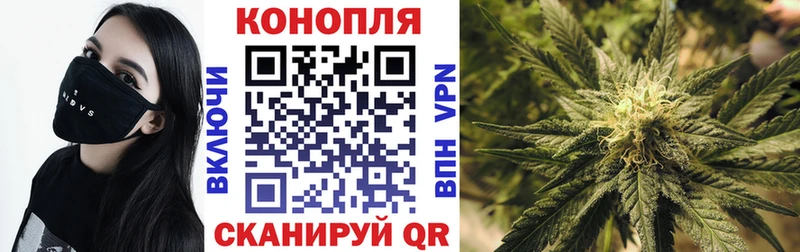 Бошки марихуана OG Kush  Энгельс 